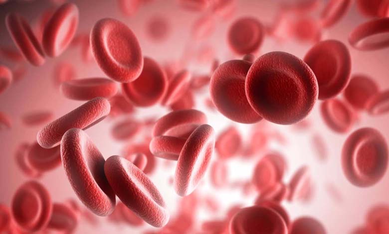 Gwada-Negative: How Scientists Discovered the Rarest Blood Type in the World