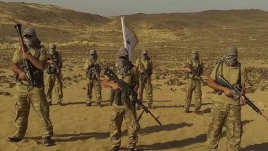 Hasm Resurfaces: Training Video Raises Fears of New Threat to Egypt