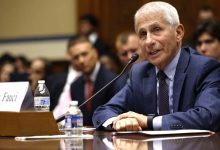 Jill Biden and Anthony Fauci Under Scrutiny in Auto-Signature Investigation