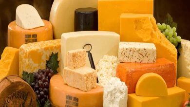 Plastic invades dairy products: cheese takes the spotlight