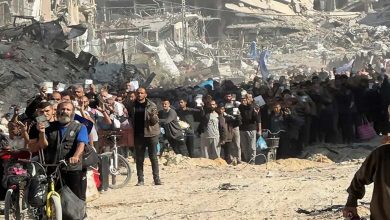 Saudi Arabia Played a Decisive Role in Preventing the Forced Displacement of Palestinians