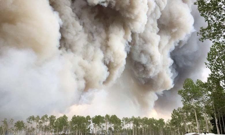 Study – Wildfire Smoke Weakens Immunity and Alters Genes