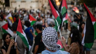 The Muslim Brotherhood and the Palestinian Cause: A Strategy of Deception for Fundraising