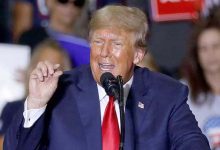 Trump-style Politics: How Germany's Far Right Plans to Seize Power