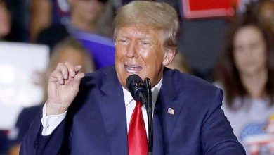 Trump-style Politics: How Germany's Far Right Plans to Seize Power
