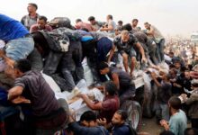 Amid Famine and Siege, Emirati Convoy Offers a Lifeline to Gaza