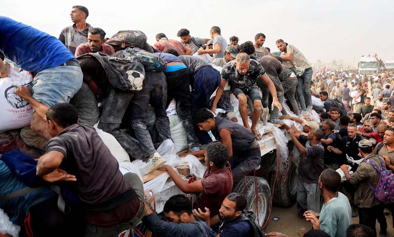 Amid Famine and Siege, Emirati Convoy Offers a Lifeline to Gaza