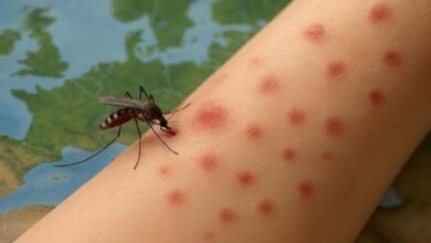 An Unprecedented Surge of Mosquito-Borne Diseases in Europe