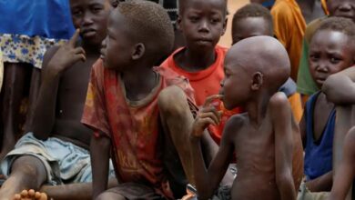 Cracks within the Port Sudan Authority: Governmental failure and violations against childhood