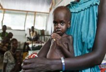 Cracks within the Port Sudan Authority amid the failure of Kamal Idris’ government and violations of children’s rights