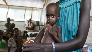 Cracks within the Port Sudan Authority amid the failure of Kamal Idris’ government and violations of children’s rights