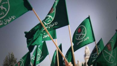 European awakening on the Muslim Brotherhood issue: seven countries on the path to counteraction