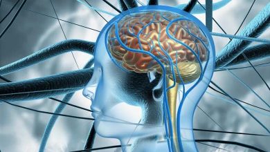Loss of Cholesterol in the Brain: A Possible First Spark for Alzheimer’s Disease