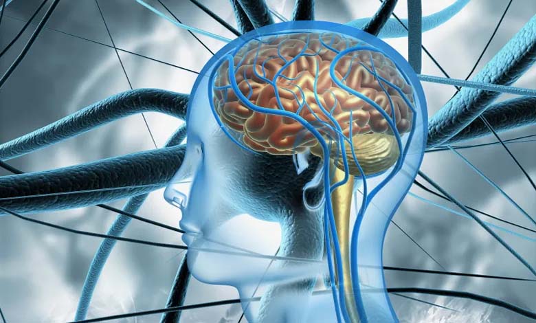Loss of Cholesterol in the Brain: A Possible First Spark for Alzheimer’s Disease