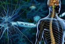 Prevention of Neurodegenerative Diseases