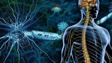 Prevention of Neurodegenerative Diseases