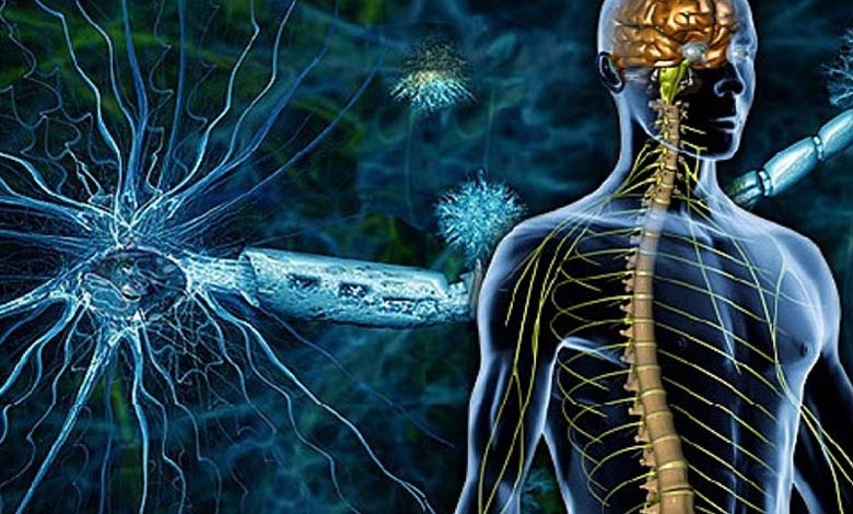 Prevention of Neurodegenerative Diseases
