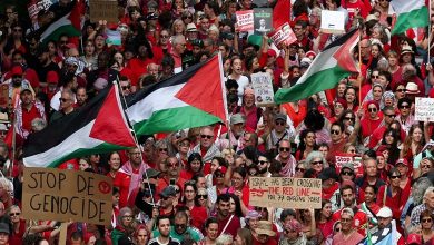Recognition of the State of Palestine: UAE Sends Strong Diplomatic Messages in Support of Peace and Justice
