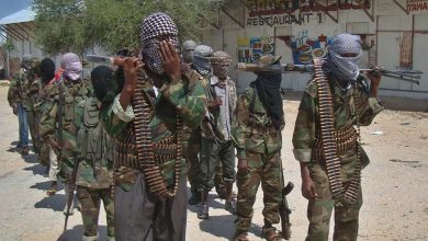 Somalia Liberates Strategic City of Barire from Al-Shabaab