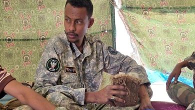Talha between Release and Impunity… Egypt Opens the Door to the Brotherhood Danger in Sudan