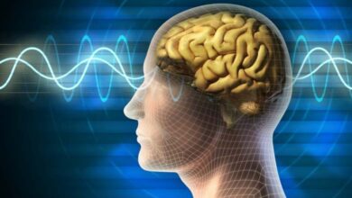 The Benefits of Sound Pulses and Tones on Brainwaves and Mood