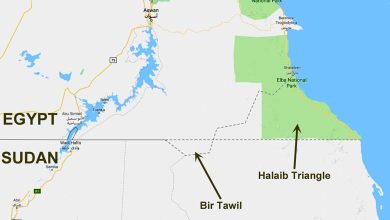 The Ceding of Halaib: When Geography Is Sold on the Market of Alliances