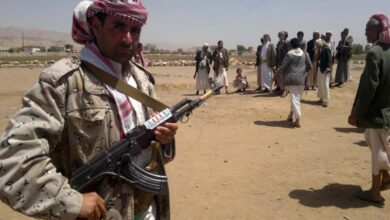 Call for an international coalition against the Houthis: Experts stress collective action as essential for deterrence