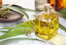 Camphor Oil: A Natural Remedy for Respiratory Diseases and Joint Pain?