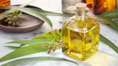 Camphor Oil: A Natural Remedy for Respiratory Diseases and Joint Pain?