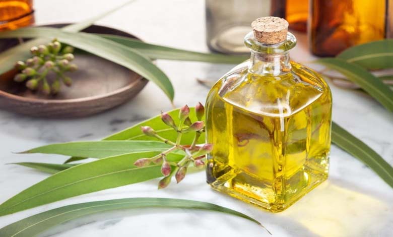 Camphor Oil: A Natural Remedy for Respiratory Diseases and Joint Pain?