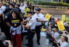 Democratic Officials Arrested After Protests Against Immigration Policies in New York
