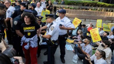 Democratic Officials Arrested After Protests Against Immigration Policies in New York