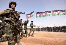 Evidence presented to the UN proves Polisario’s recruitment of mercenaries in conflict zones