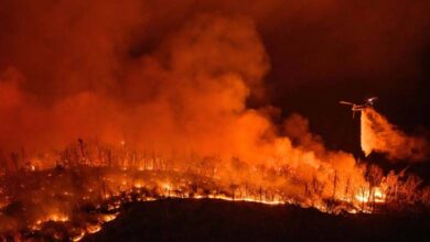 Gaza Burns While New York Talks: Can Diplomacy Put Out the Fire?