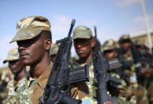 High-Impact Operations Shake Terrorist Strongholds in Somalia: Field Victories and International Support