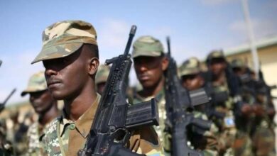 High-Impact Operations Shake Terrorist Strongholds in Somalia: Field Victories and International Support