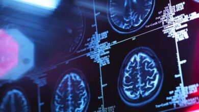 How brain cholesterol affects memory and learning