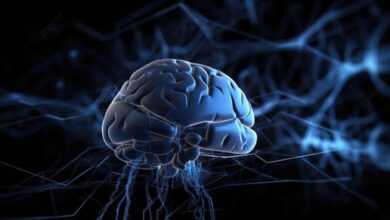 New Study: The Human Brain Cleans Itself During Sleep