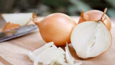 Onion: A Natural Food Supporting Diabetic Patients and Protecting Heart Health