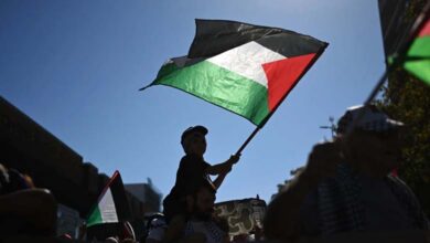 Palestine on the Global Map: Countries in Favor and Those Opposed