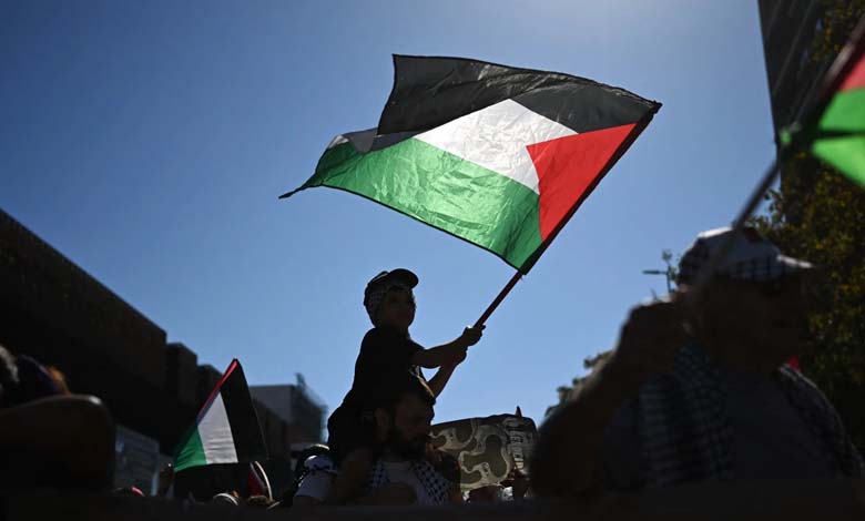 Palestine on the Global Map: Countries in Favor and Those Opposed