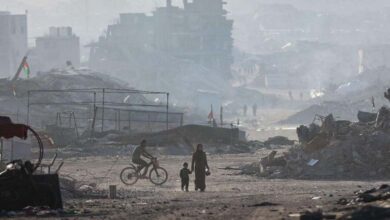 Arab States Reject Israeli Plan to Divide Gaza