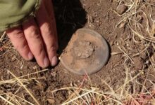 Gaza and landmines: an open field