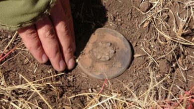 Gaza and landmines: an open field