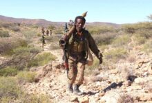Puntland Defence Forces continue to strike ISIS… foreign fighters arrested