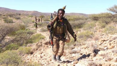 Puntland Defence Forces continue to strike ISIS… foreign fighters arrested