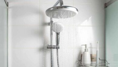 Showerheads: an ideal environment for bacterial and fungal growth