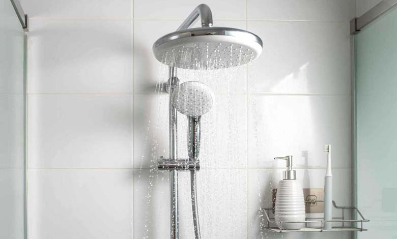 Showerheads: an ideal environment for bacterial and fungal growth