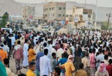 Taiz rises against Muslim Brotherhood influence: calls for militia expulsion and popular awakening