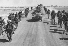 The Muslim Brotherhood Has Betrayed the Egyptian Army Since the 1948 War… A Journalist Presents the Evidence